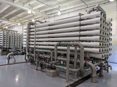 Whole System View