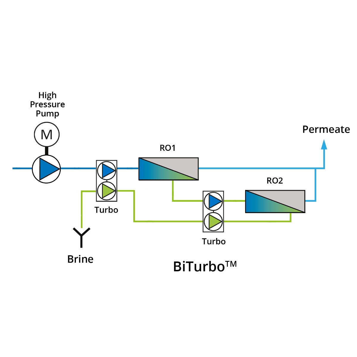 Membrane-traffic-light (2)