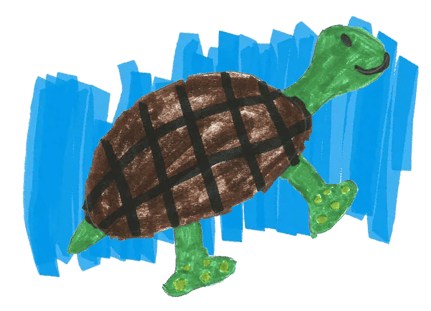 Turtle image